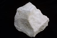 藏品(石膏)的圖片