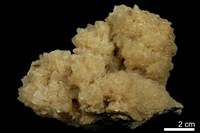 藏品(方解石)的圖片