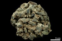 藏品(硫砷銅礦 )的圖片