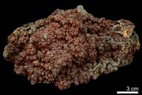 藏品(針鐵礦 )的圖片