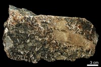 藏品(重晶石 )的圖片