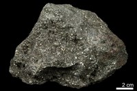 藏品(黃鐵礦 )的圖片