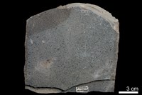 藏品(粉砂岩)的圖片