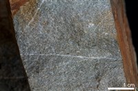 藏品(砂岩)的圖片