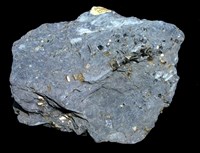 藏品(綠色片岩/黃鐵礦)的圖片