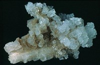 藏品(鹽岩)的圖片