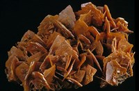 藏品(鉬鉛礦)的圖片