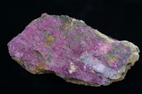 藏品(鈷華)的圖片