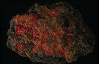 藏品(鉻鉛礦)的圖片