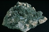 藏品(假像纖閃石 )的圖片