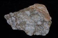 藏品(雪花石膏/石膏)的圖片