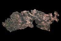 藏品(自然銅)的圖片