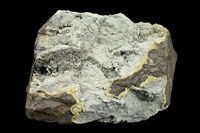 藏品(石英安山岩)的圖片