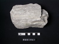 藏品(大理岩)的圖片