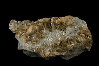 藏品(菱鐵礦)的圖片