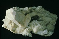 藏品(正長石/鈉長石)的圖片