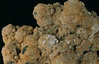 藏品(鋰雲母)的圖片