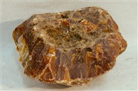 藏品(瑪瑙)的圖片