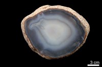 藏品(瑪瑙)的圖片