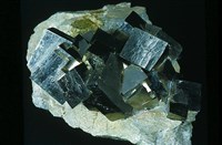 藏品(黃鐵礦)的圖片