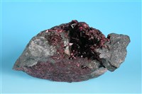 藏品(鈷華)的圖片