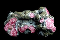 藏品(菱錳礦)的圖片