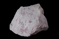 藏品(紅電氣石/電氣石)的圖片