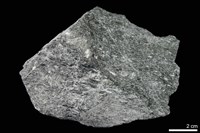 藏品(角閃岩)的圖片