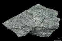 藏品(角閃岩)的圖片