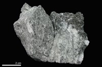 藏品(角閃岩)的圖片