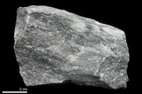 藏品(片岩)的圖片