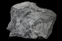 藏品(硬頁岩)的圖片