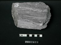 藏品(大理岩)的圖片