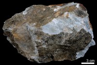 藏品(燧石)的圖片