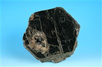 藏品(黑雲母)的圖片