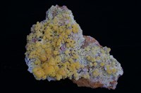 藏品(砷鉛礦)的圖片