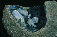 藏品(片沸石)的圖片