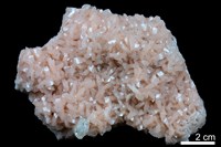 藏品(白雲石)的圖片