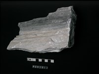 藏品(大理岩)的圖片