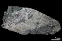 藏品(石綿/蛇紋石)的圖片