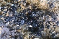 藏品(石榴子石)的圖片