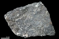 藏品(蛇紋岩)的圖片