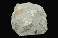 藏品(安山岩)的圖片