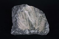 藏品(石綿)的圖片