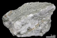 藏品(石膏)的圖片