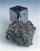 藏品(方鉛礦)的圖片