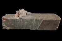 藏品(微斜長石)的圖片