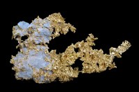 藏品(自然金)的圖片