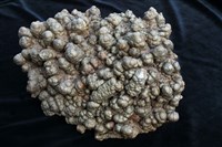 藏品(白鐵礦)的圖片