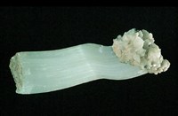 藏品(透石膏/方解石)的圖片